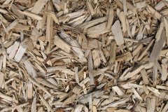 biomass boilers Carclaze
